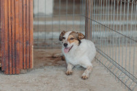 /album/261/whatsapp-image-2026-03-11-at-21-02-03-jpeg/